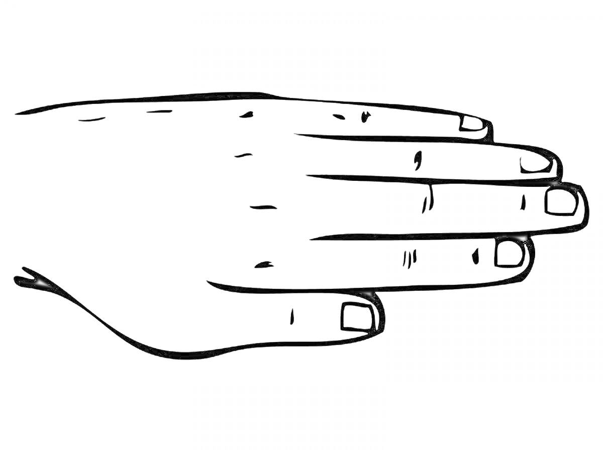 Раскраска рука с пальцами и ногтями, взгляд сверху