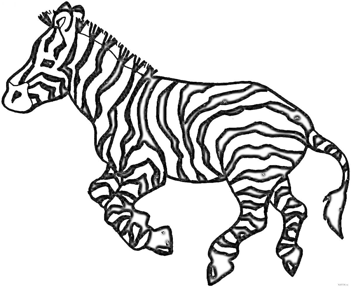 Раскраска Зебра с полосками, бегущая в профиль