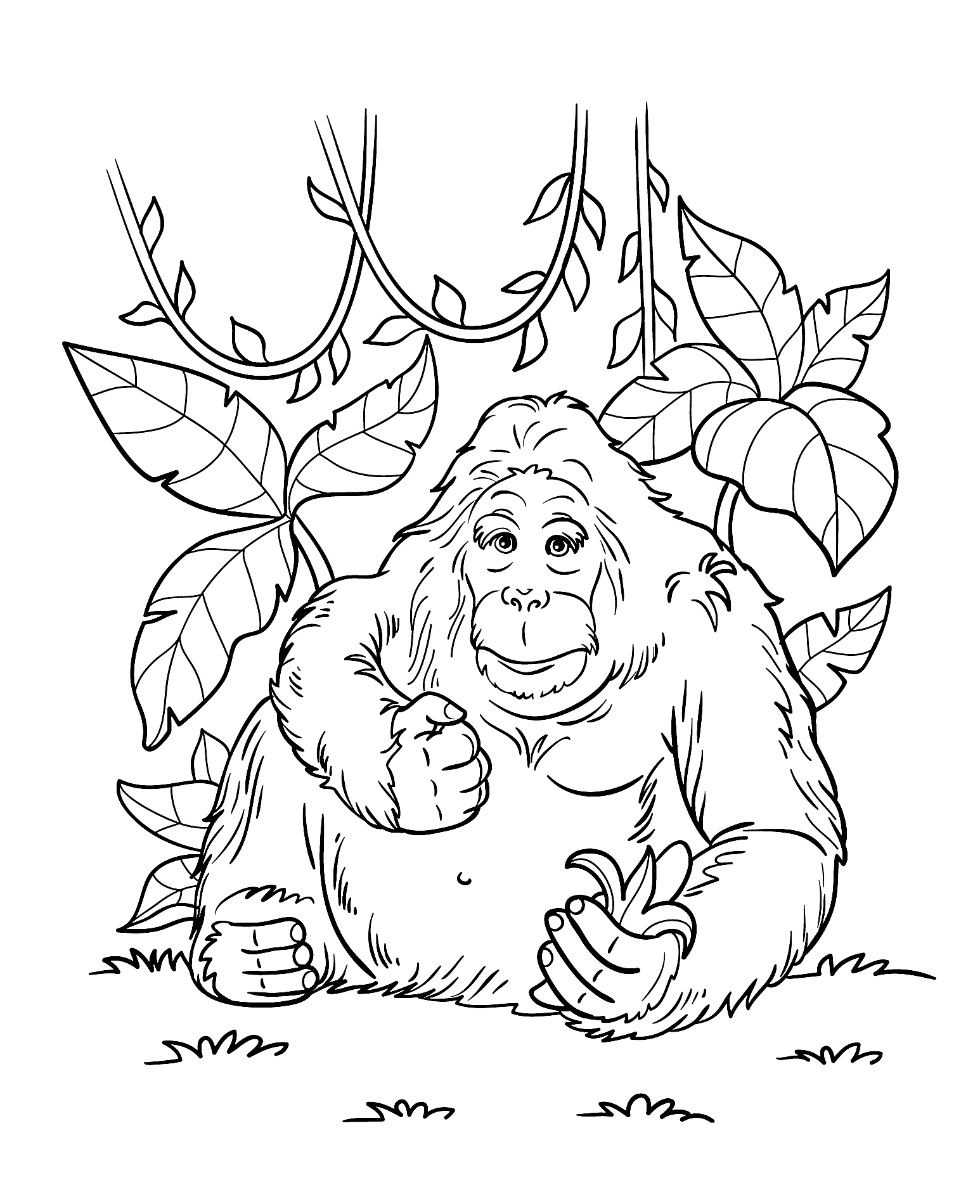 Раскраска Джунгли с орангутаном, растениями и лианами