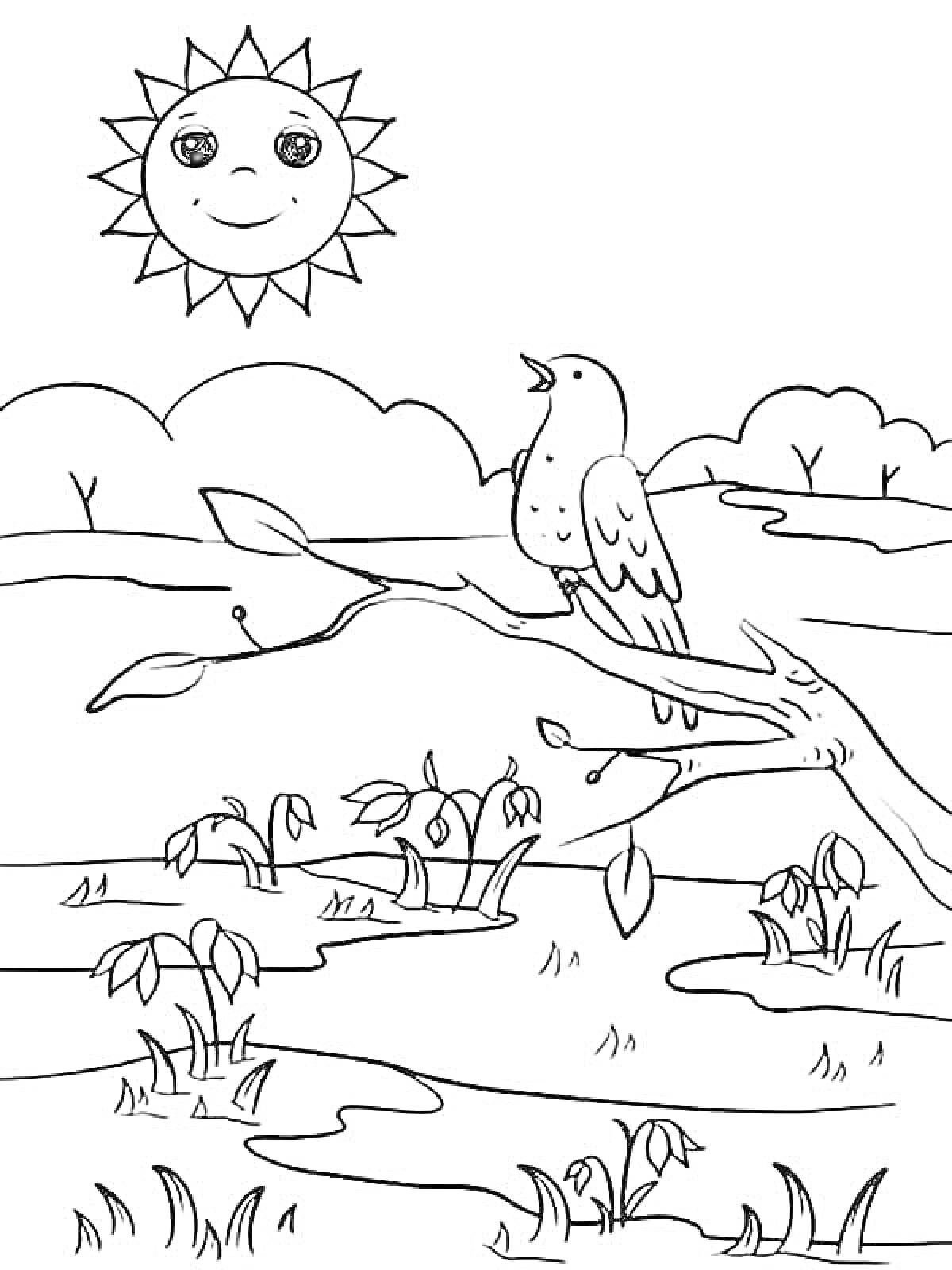 На раскраске изображено: Март, Птица, Ветка, Солнце, Поляна, Деревья, Листья, Цветы, Весна, Природа