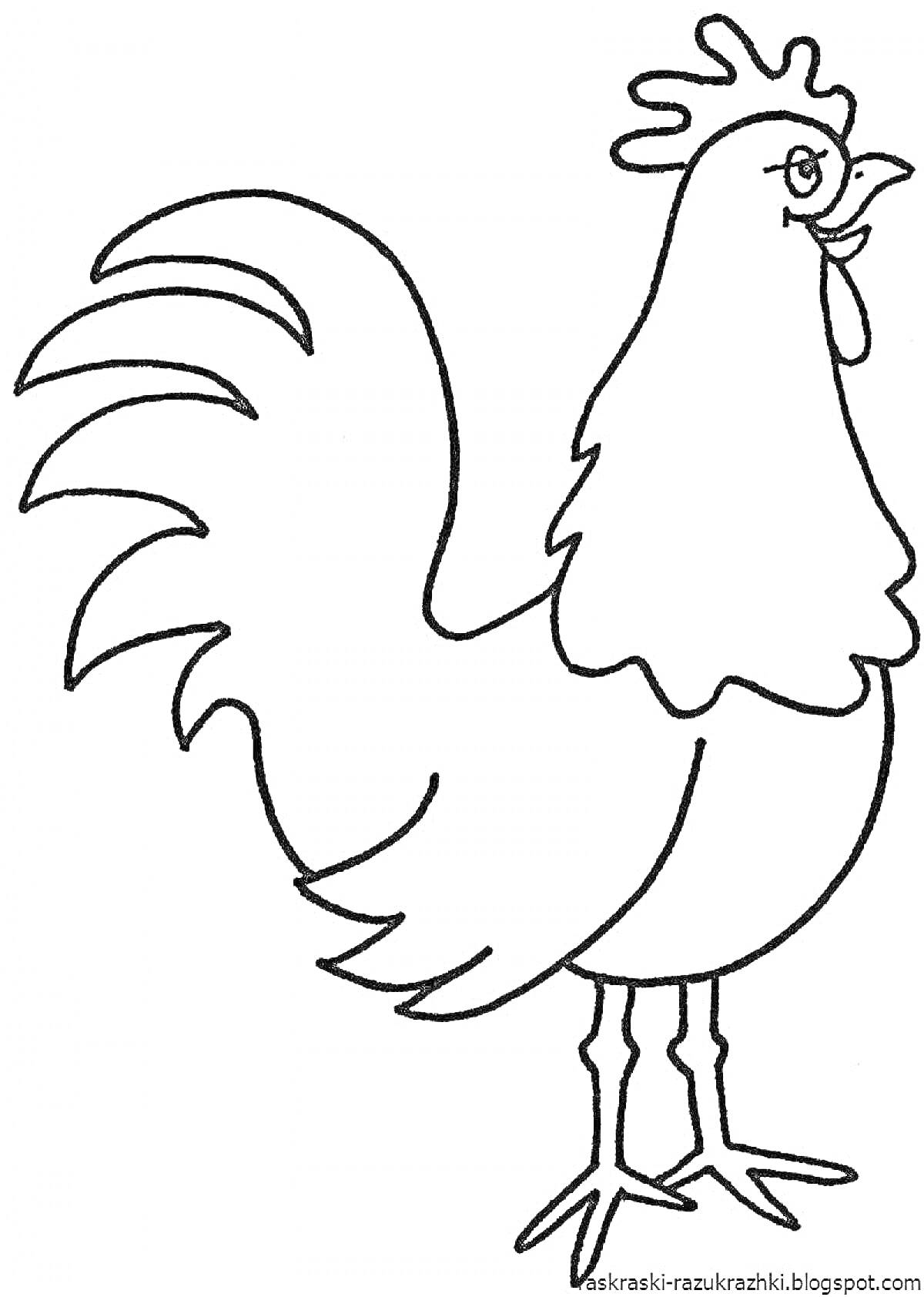 Раскраска Раскраска с петухом (петух, клюв, гребень, хвостовые перья, лапы)