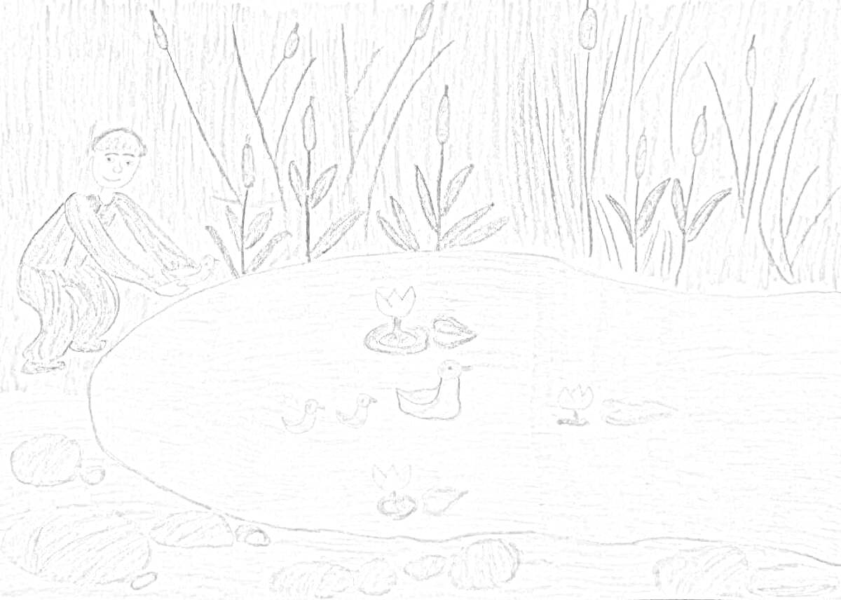 На раскраске изображено: Мальчик, Пруд, Камыши, Водяные лилии, Природа