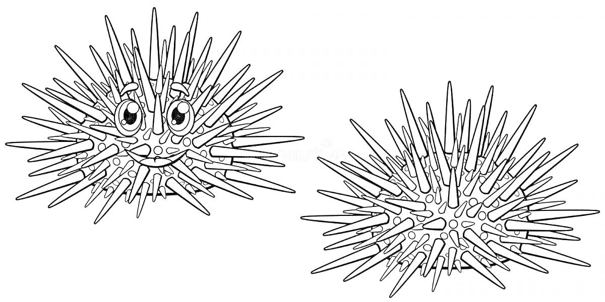Раскраска Морской еж с улыбкой и морской еж с иглами