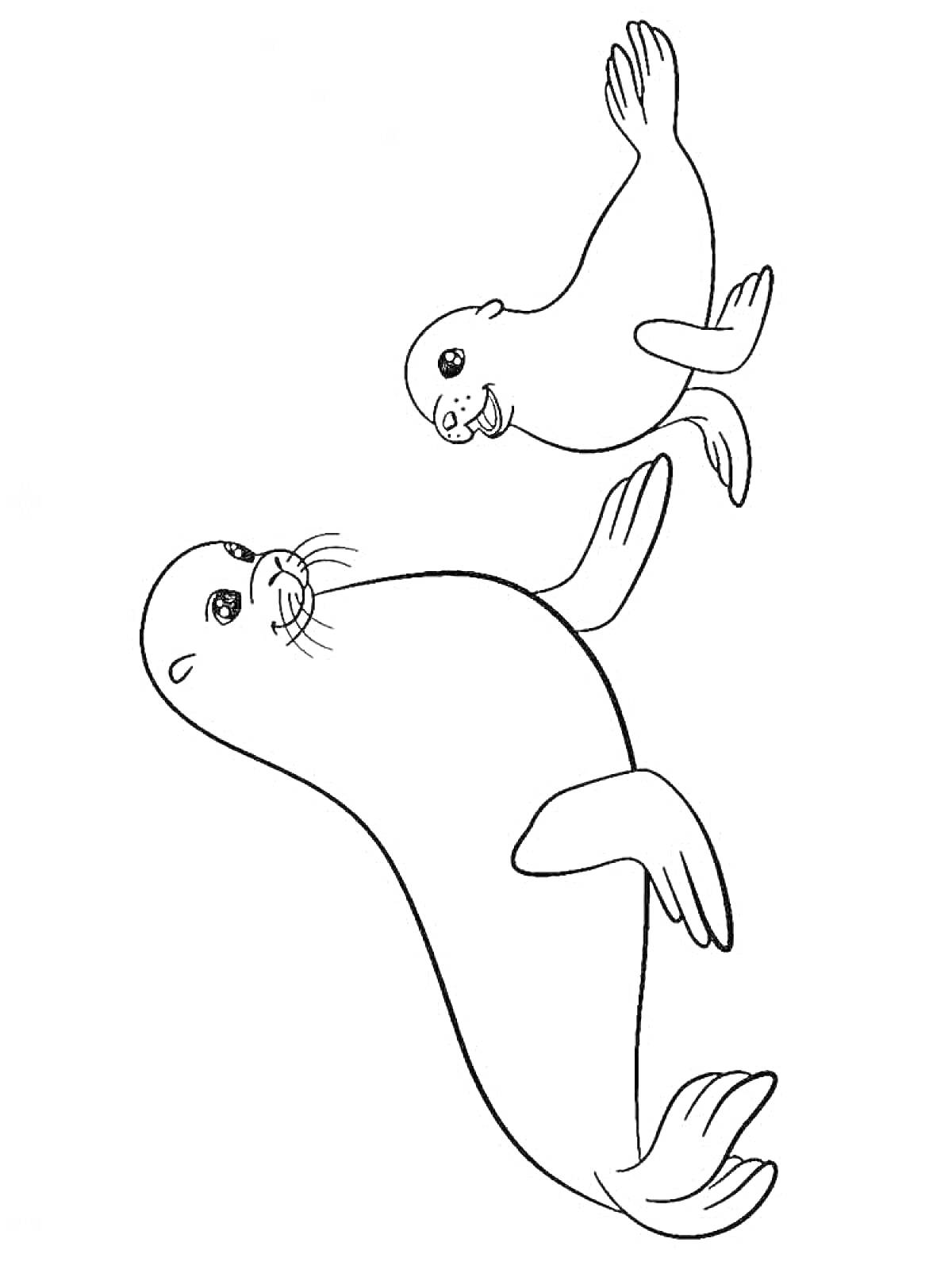 На раскраске изображено: Тюлень, Морские животные, Для детей, Под водой, Животные, Море
