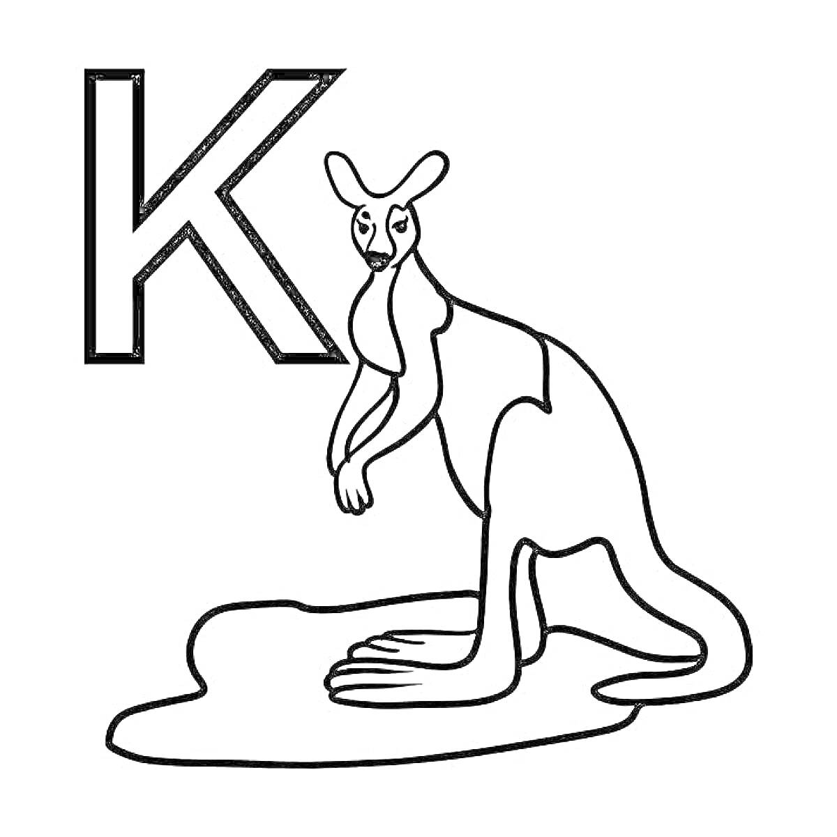 На раскраске изображено: Алфавит, Буква к, Кенгуру, Для детей, Обучающая, Контурные рисунки