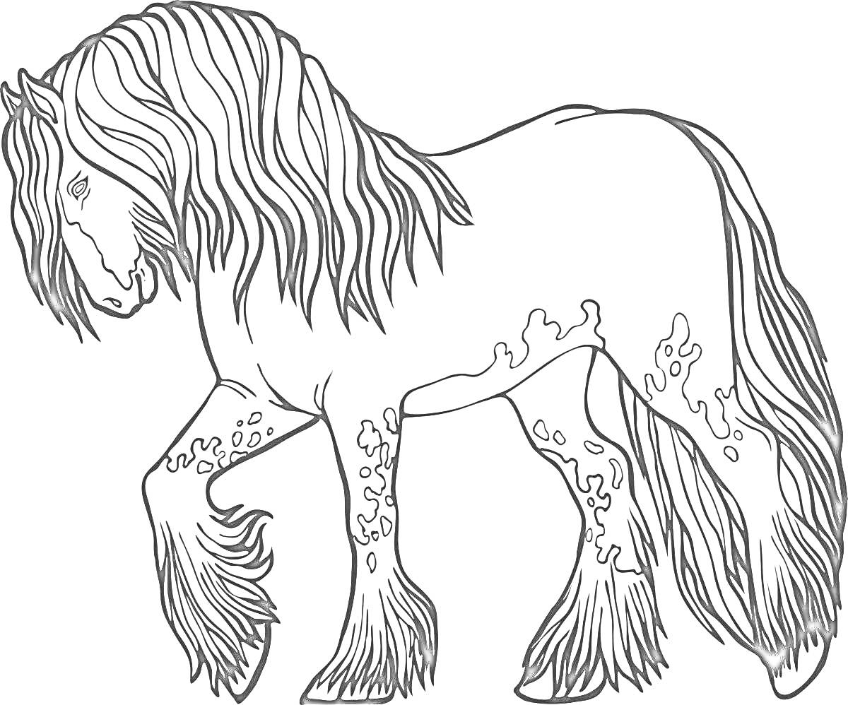 Раскраска лошадь породы шайр, стоящая на трех ногах с длинной гривой и хвостом, с пятнами на ногах