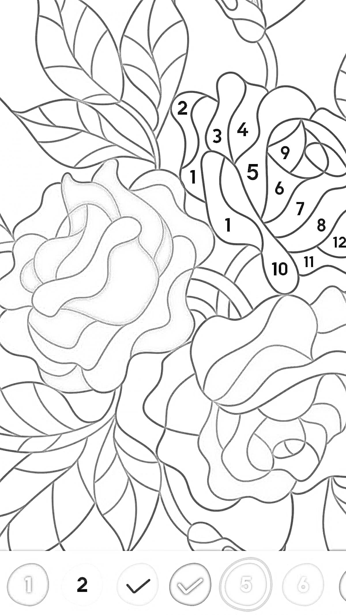 На раскраске изображено: Розы, Листья, Зеленый, Природа, Игра, Хэппи колор