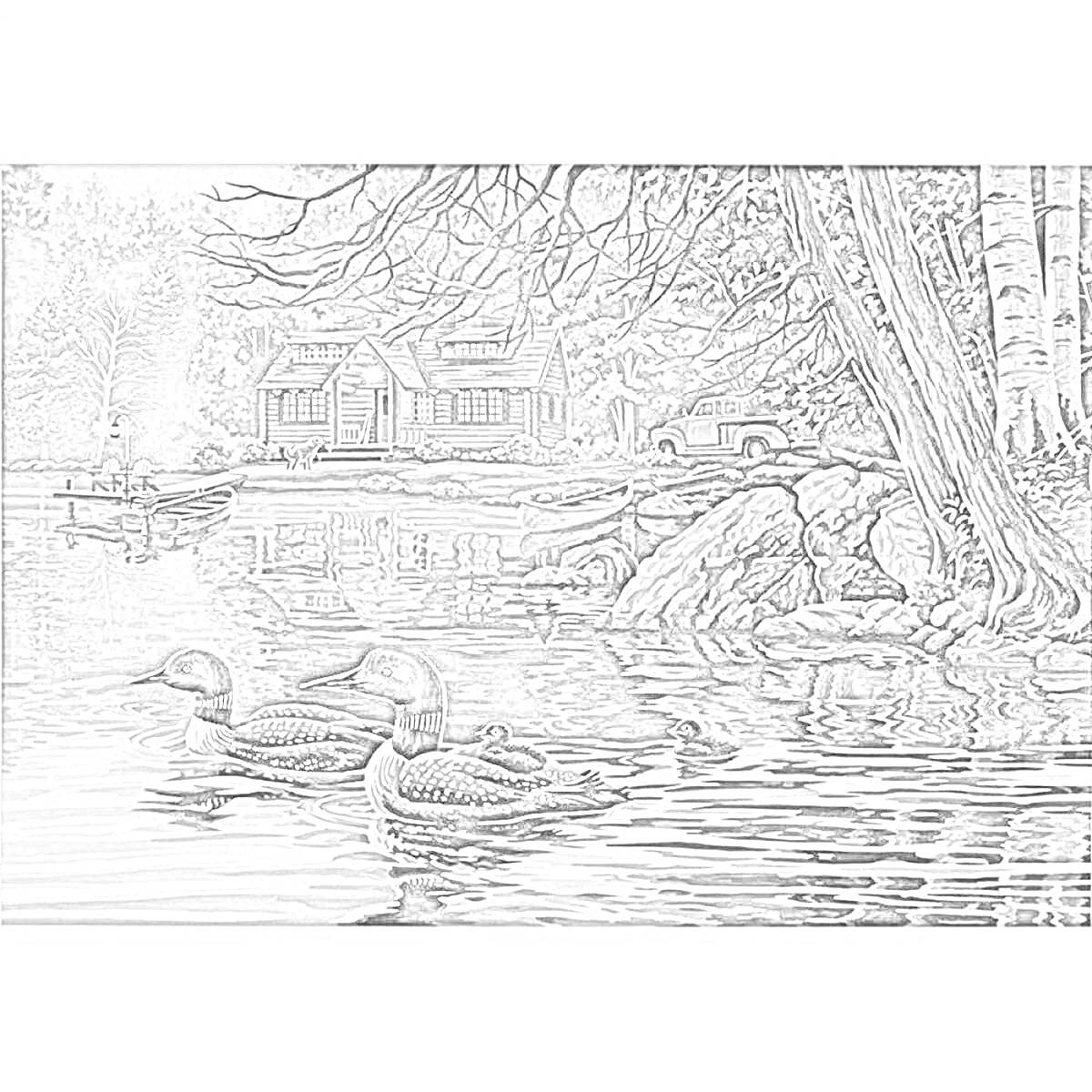 Раскраска Утки на озере рядом с домиком в лесу