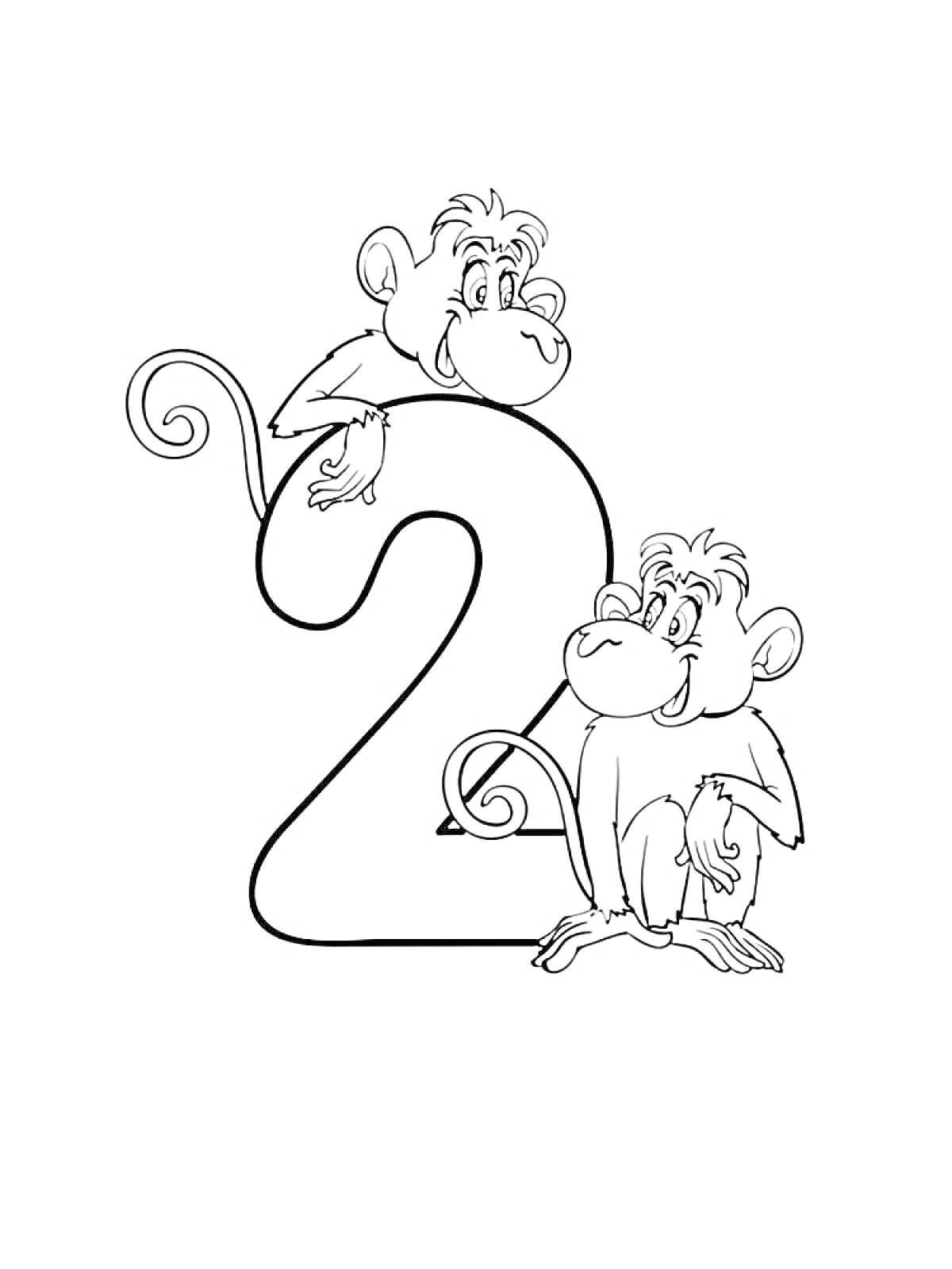 Раскраска Цифра 2 с двумя обезьянками