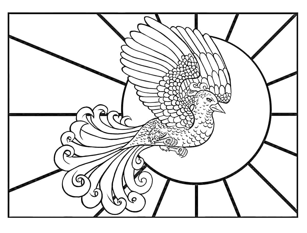 Раскраска Раскраска - Летящий феникс на фоне солнца