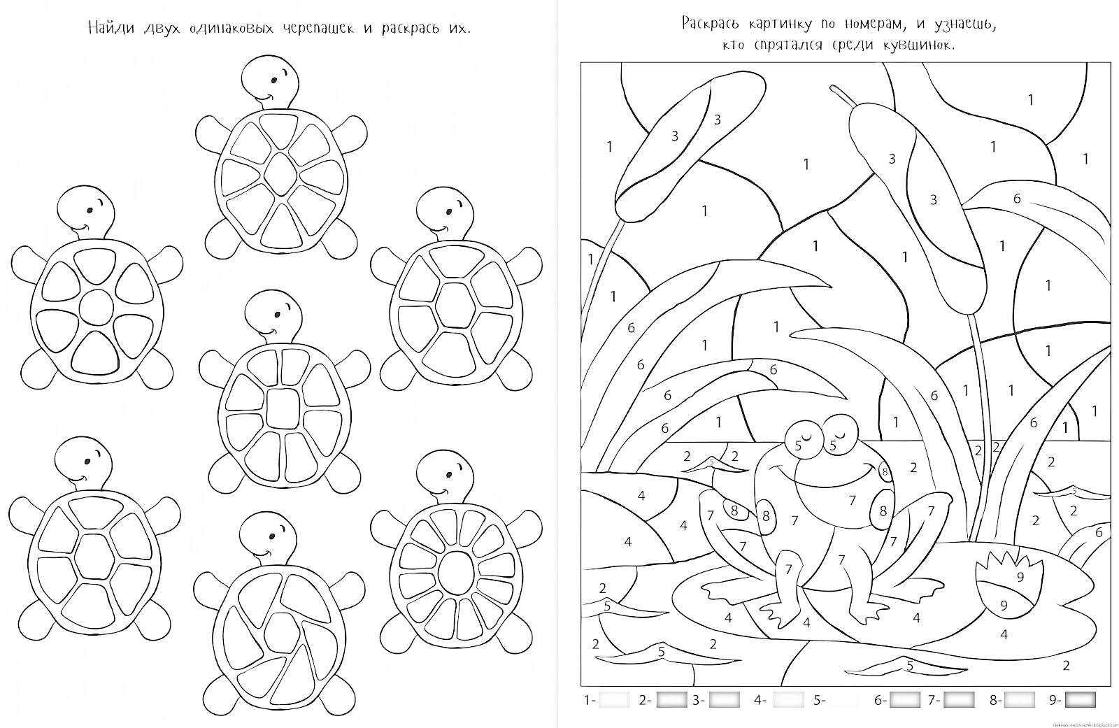 Раскраска Черепашки и лягушка в пруду с растениями и цветами