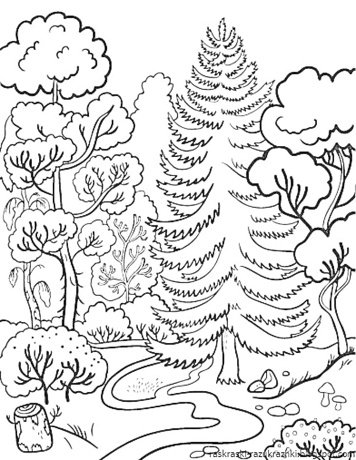 Раскраска Лес с высокими елями, кустарниками, полянкой, пеньком и грибами на земле