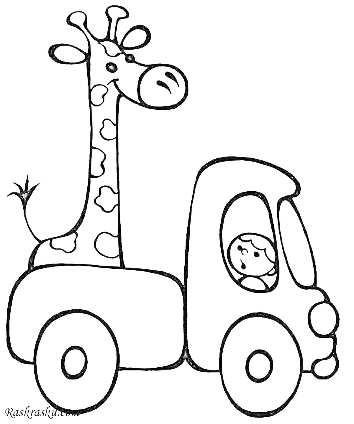 На раскраске изображено: Ребёнок, Водитель, Для детей, Игра, 3-4 года, Животные, Грузовая машина, Жирафы, Авто