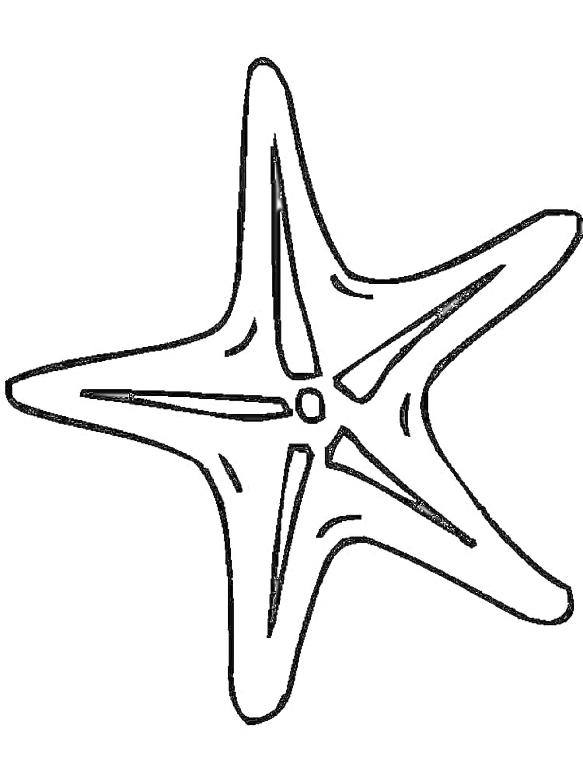 Раскраска Морская звезда, контур с узорными линиями внутри каждого луча