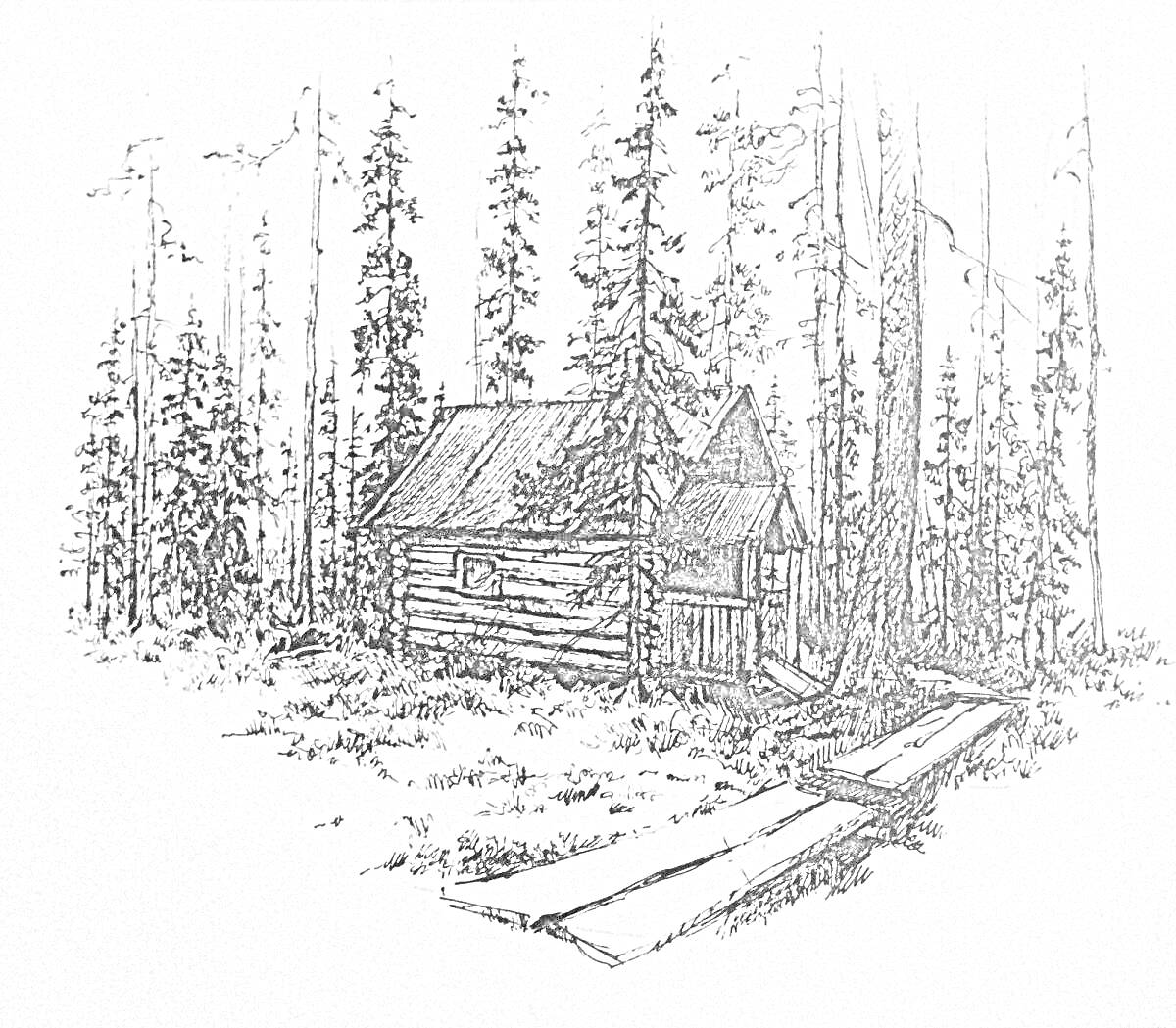 На раскраске изображено: Карелия, Лес, Домик, Деревянный дом, Природа, Деревья