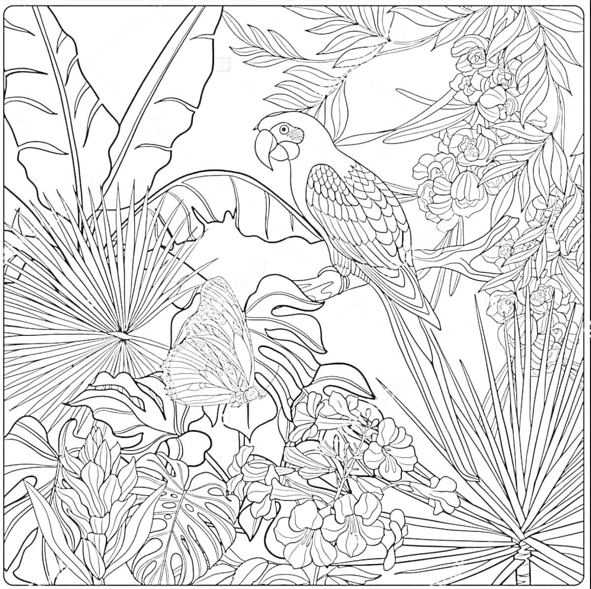 На раскраске изображено: Птица, Цветы, Листья, Джунгли, Антистресс, Природа, Ветка, Растения
