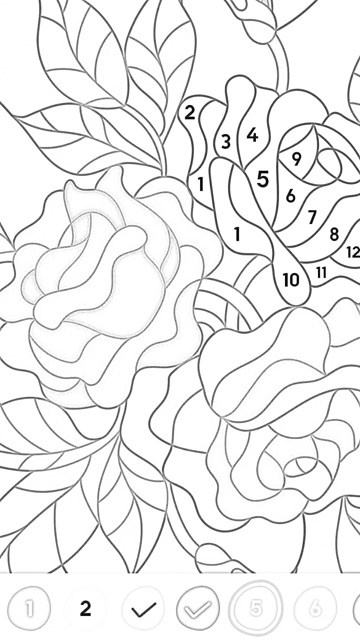 На раскраске изображено: Розы, Цветы, Хэппи колор, Листья