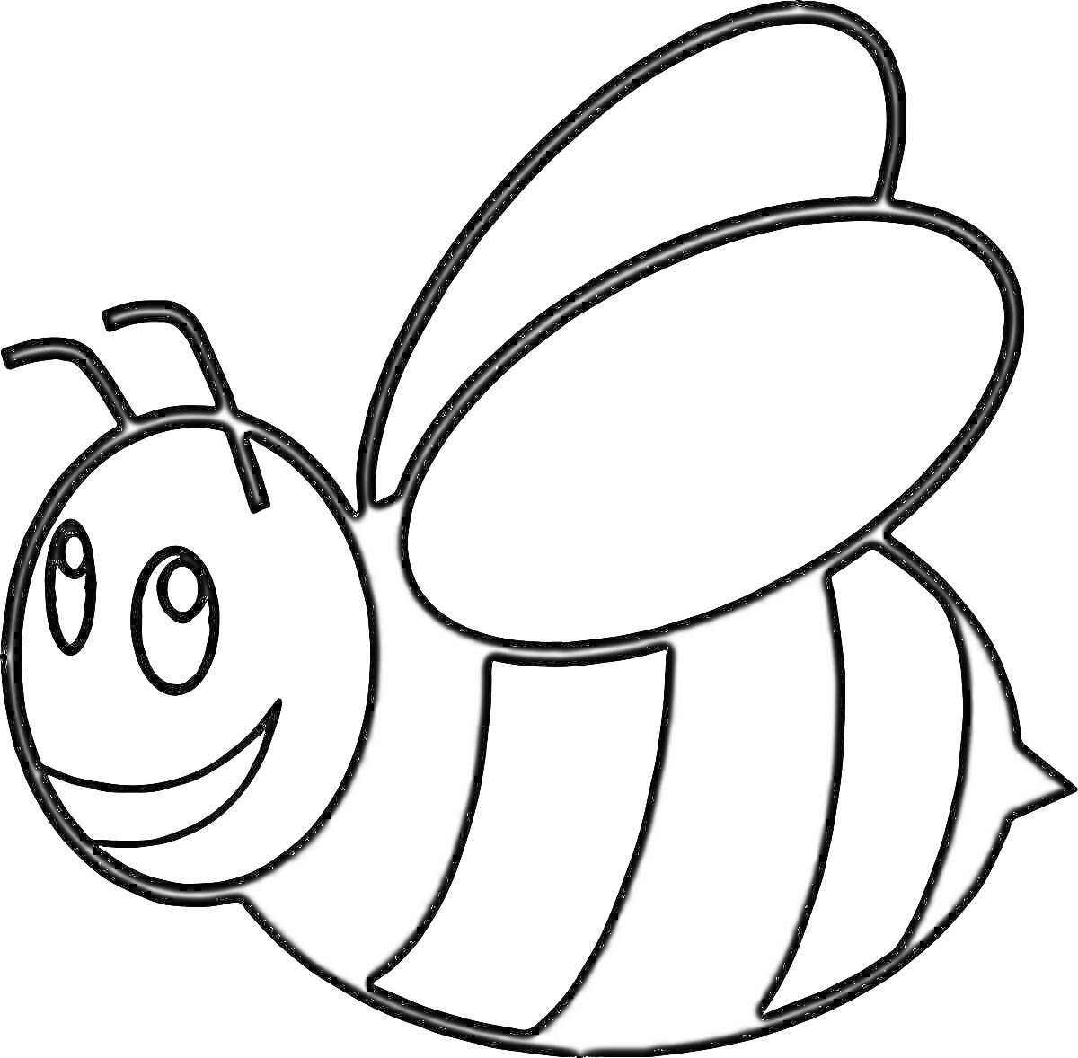 Раскраска Пчела с улыбающимся лицом, впереди с усиками и большими крыльями