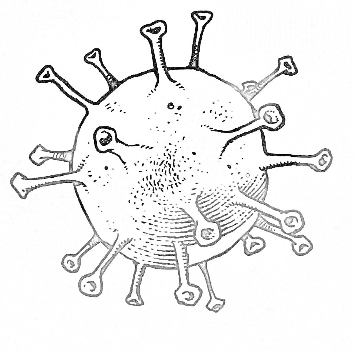 Раскраска Вирус с отростками в виде булавок