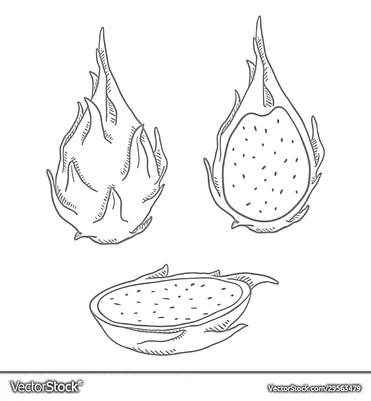 Раскраска Драконий фрукт в разрезе и цельный