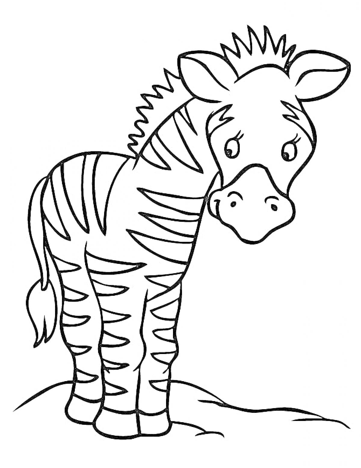 Раскраска Молодая зебра на лужайке