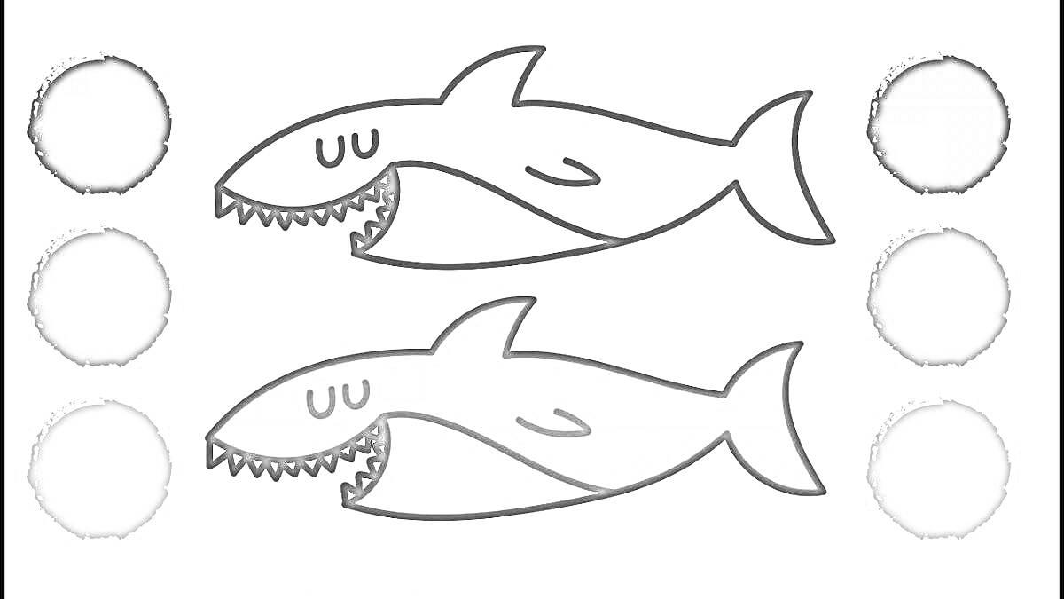 Раскраска Два акуленка (контурный и закрашенный) с круглыми цветными палитрами синего оттенка