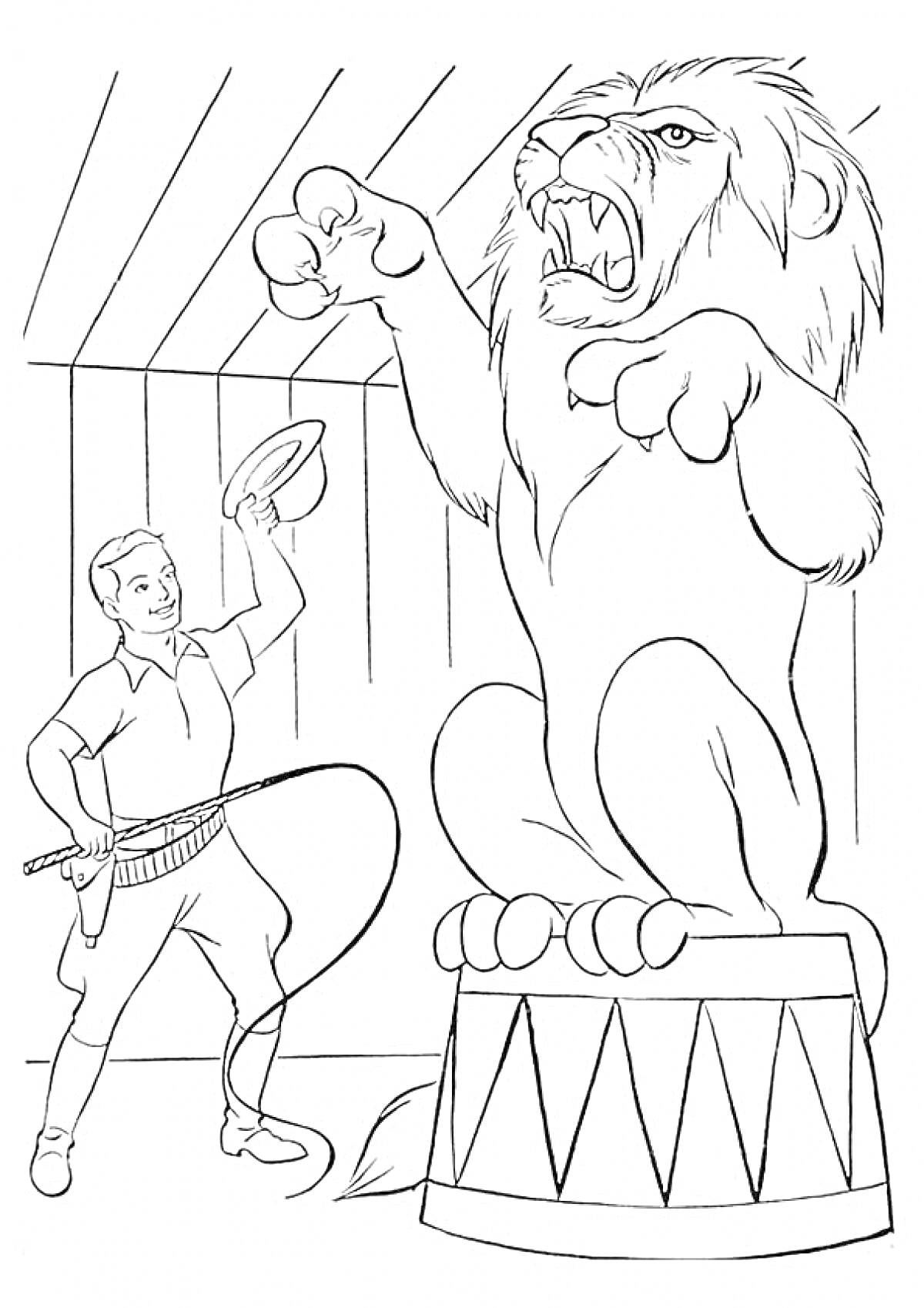 Раскраска Дрессировщик с хлыстом и обручем, командующий львом, стоящим на цирковом барабане
