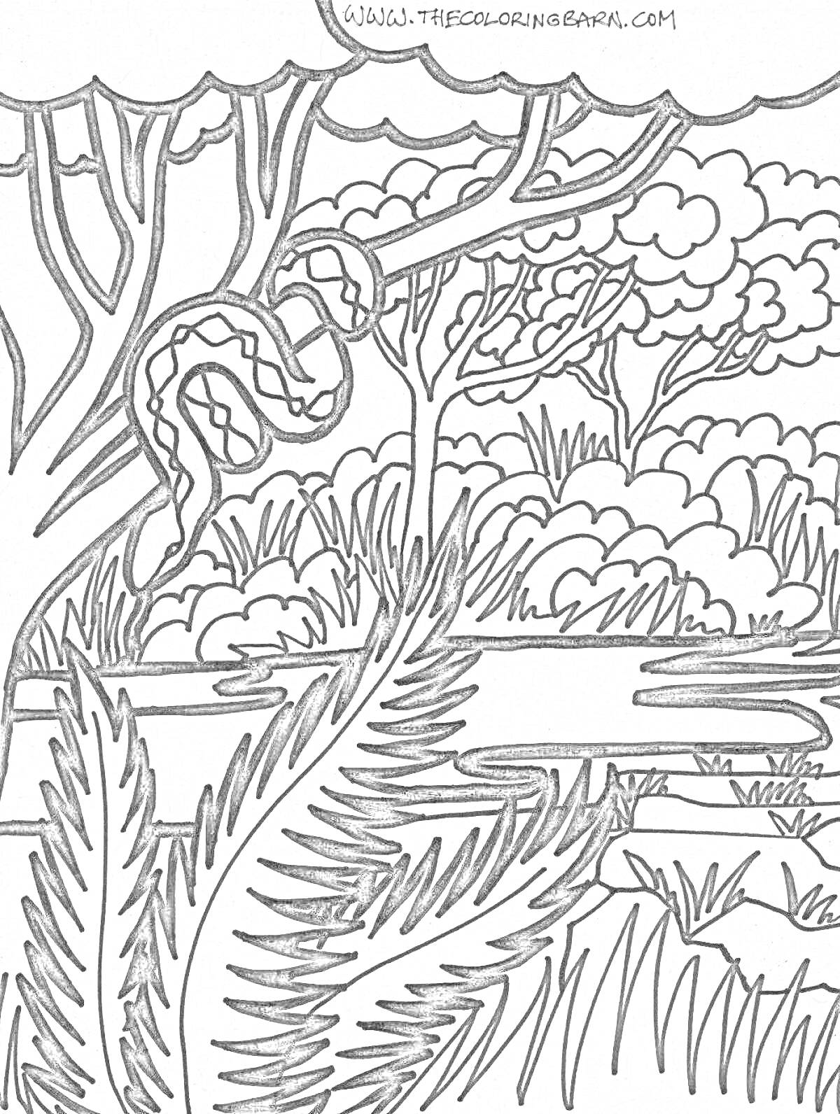 На раскраске изображено: Джунгли, Природа, Змея, Кусты, Трава, Дикие животные, Растения, Для детей, Деревья