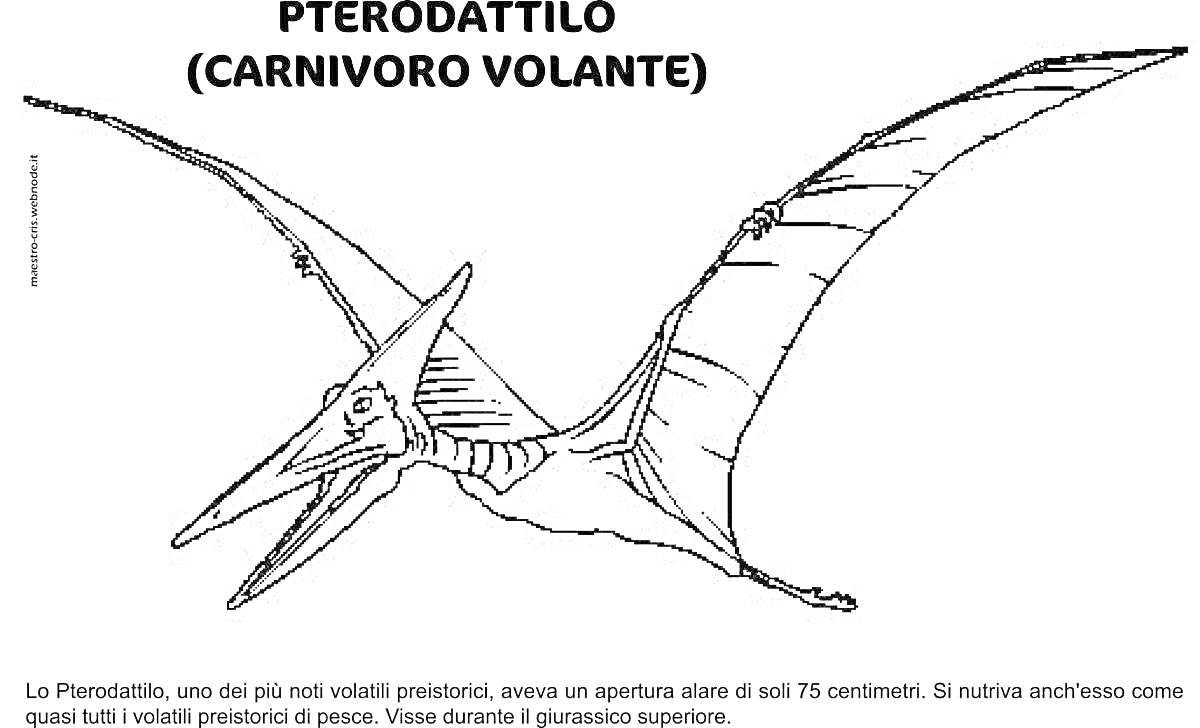 Раскраска Птеродактиль с большими крыльями и длинным клювом