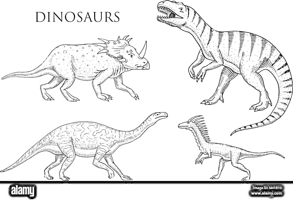 Раскраска Динозавры - церетозавр, трицератопс, зауропод, орнитомим