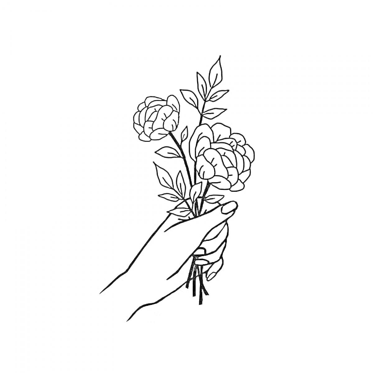 Раскраска Рука, держащая букет из трех цветов с листьями