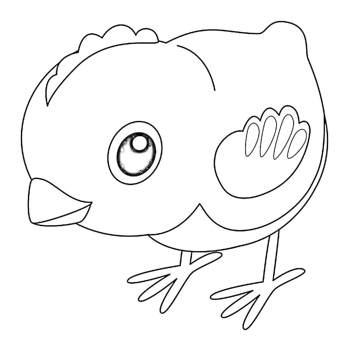 На раскраске изображено: Птенец, Птица, Большие глаза, Контурное изображение