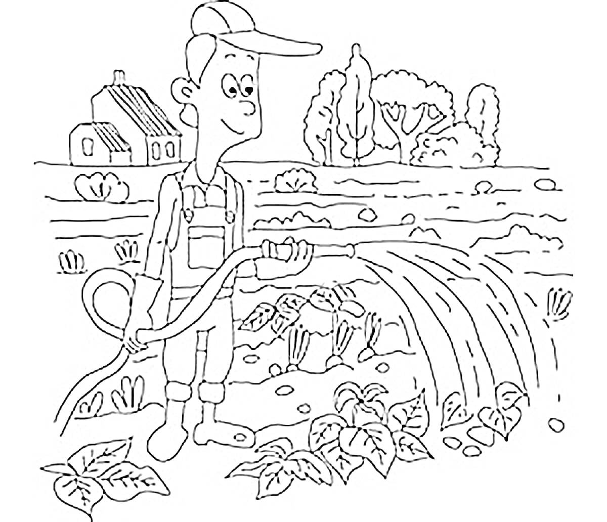 Раскраска Человек поливает растения на огороде с помощью шланга, на заднем плане дом и деревья