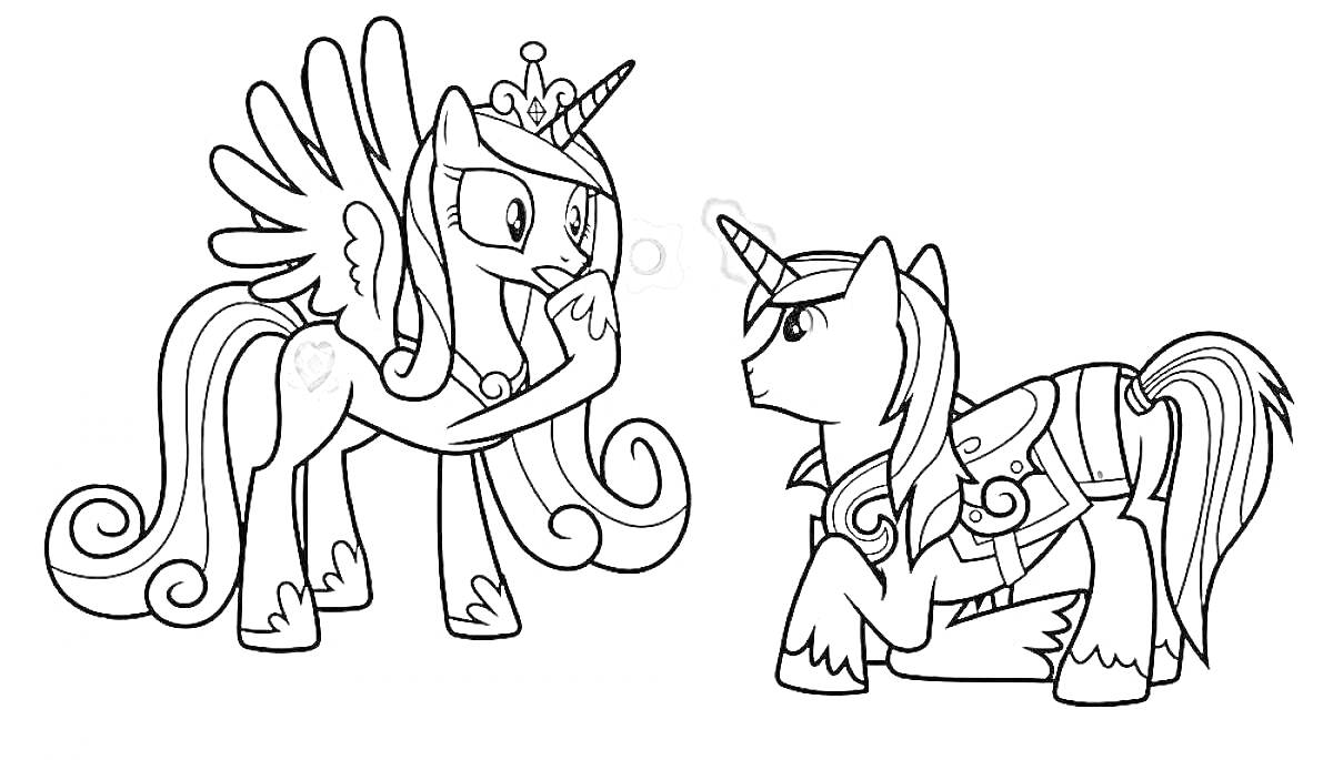 Раскраска Пони Каденс с крыльями и короной разговаривает с другим пони в броне
