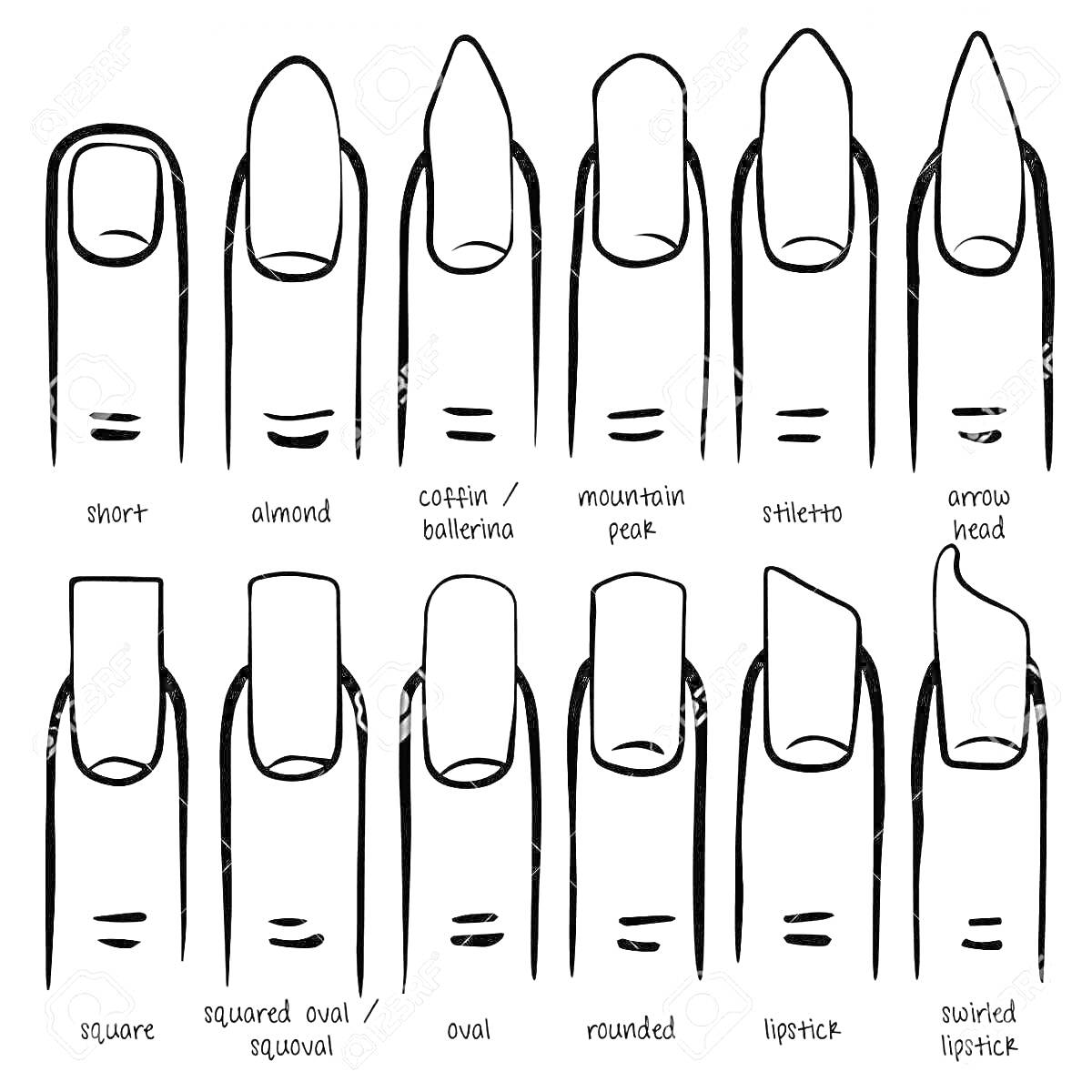 Схема разных форм ногтей: короткие, миндалевидные, гроб/балерина, гора, стилет, стрелка, квадратные, квадрат овал/квадратный овал, овальные, круглые, помада, помада с завитком