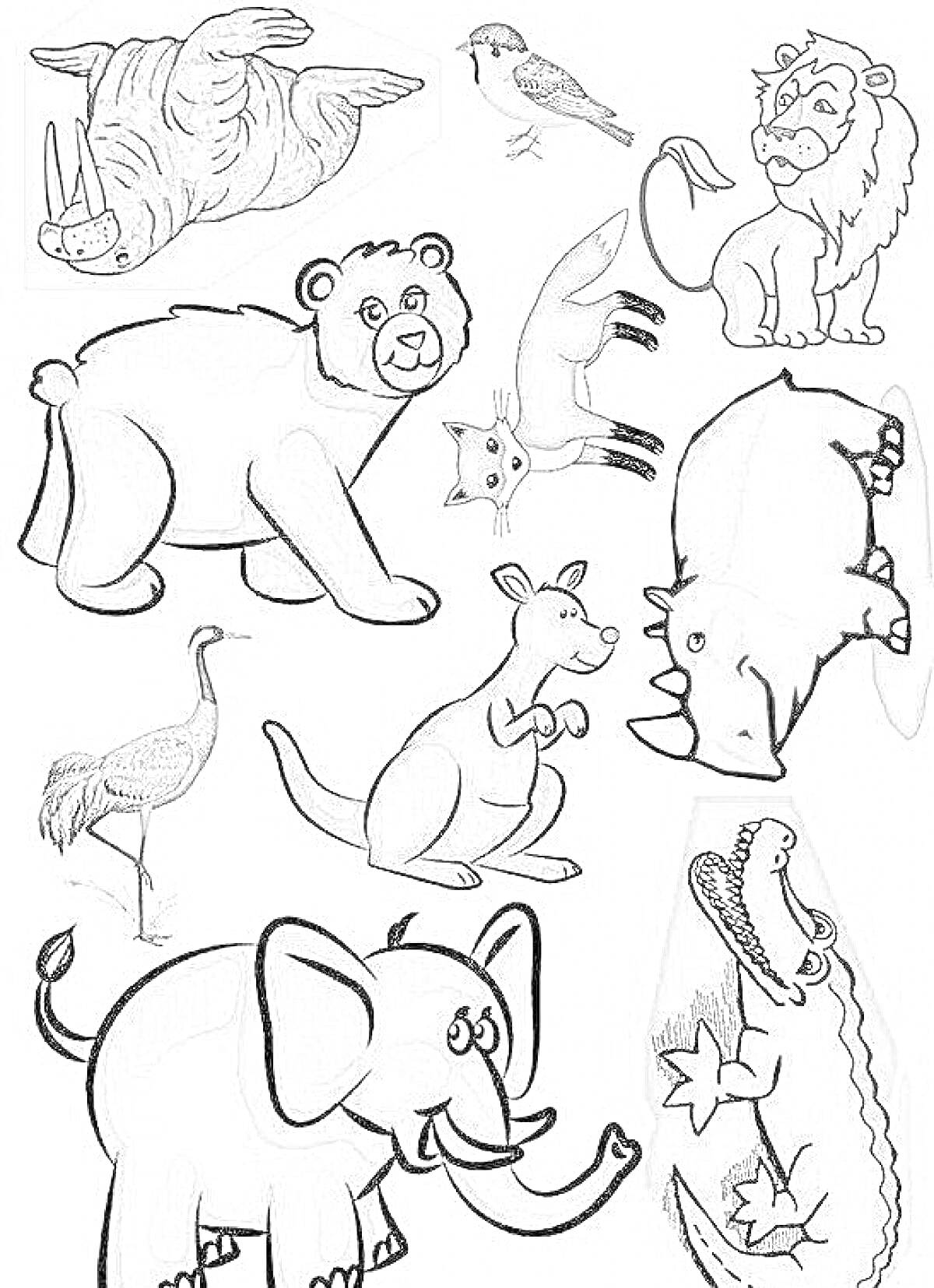 На раскраске изображено: Слон, Крокодил, Лев, Кенгуру, Аист, Медведь, Носорог, Верблюд, Воробей, Животные, Лиса