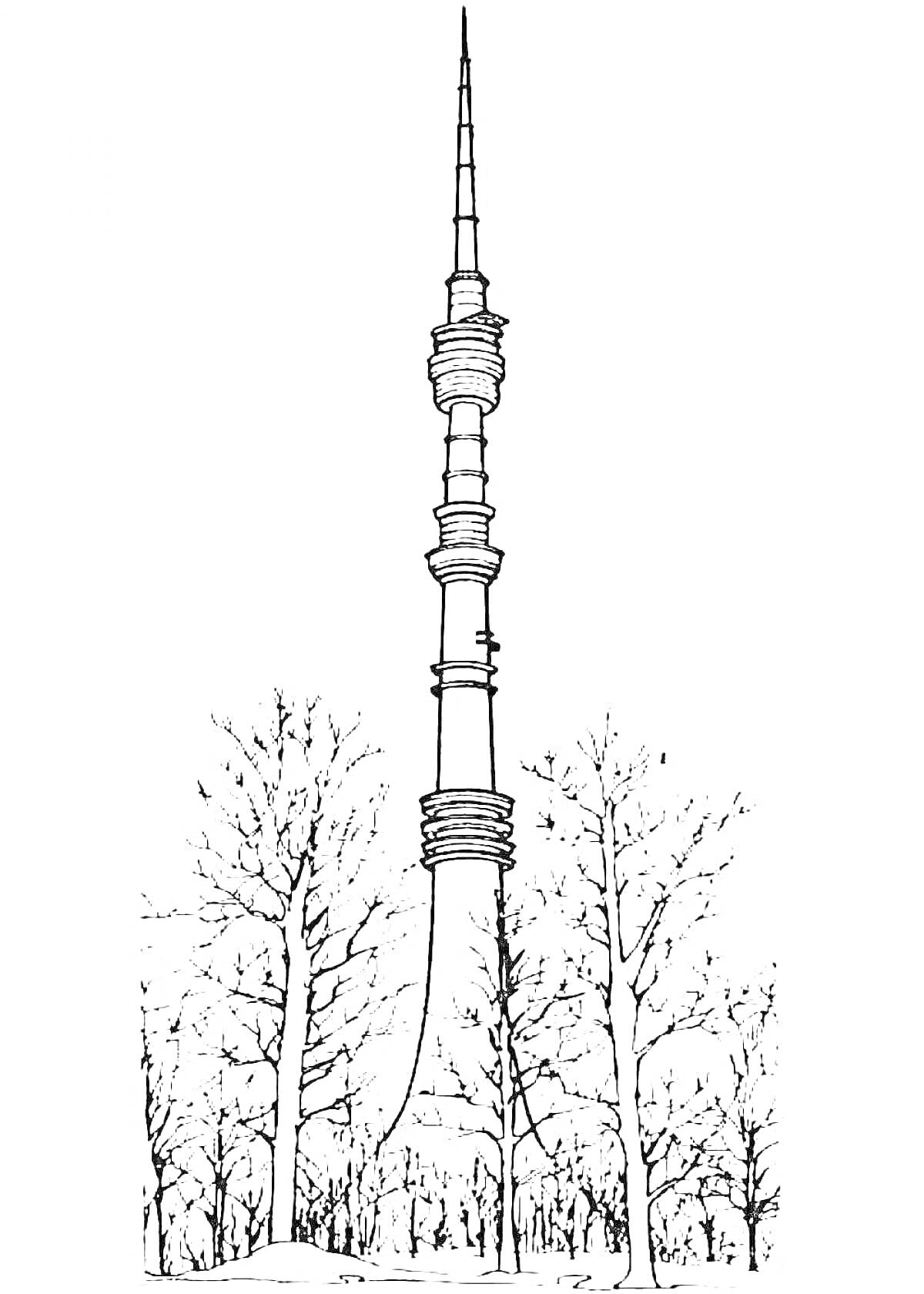 Раскраска Останкинская башня среди деревьев без листвы