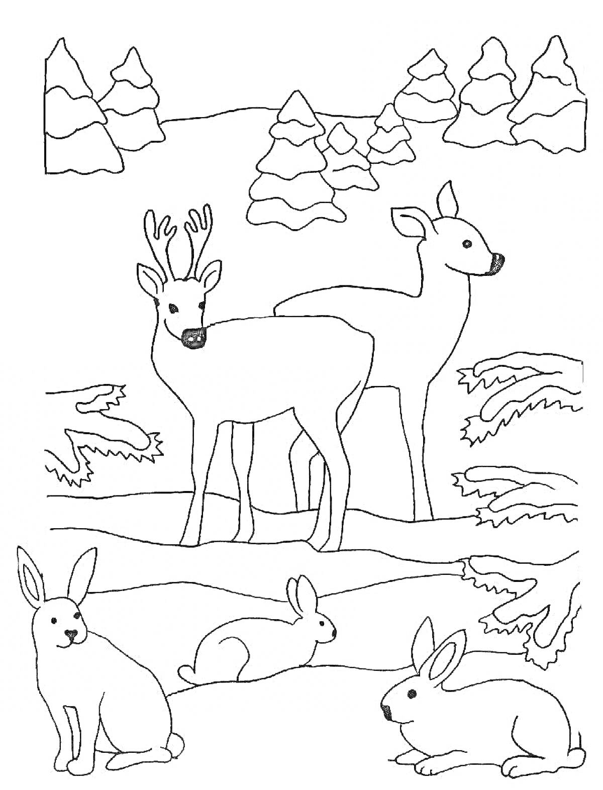 На раскраске изображено: Зима, Лес, Животные, Олень, Заяц, Природа, Снег