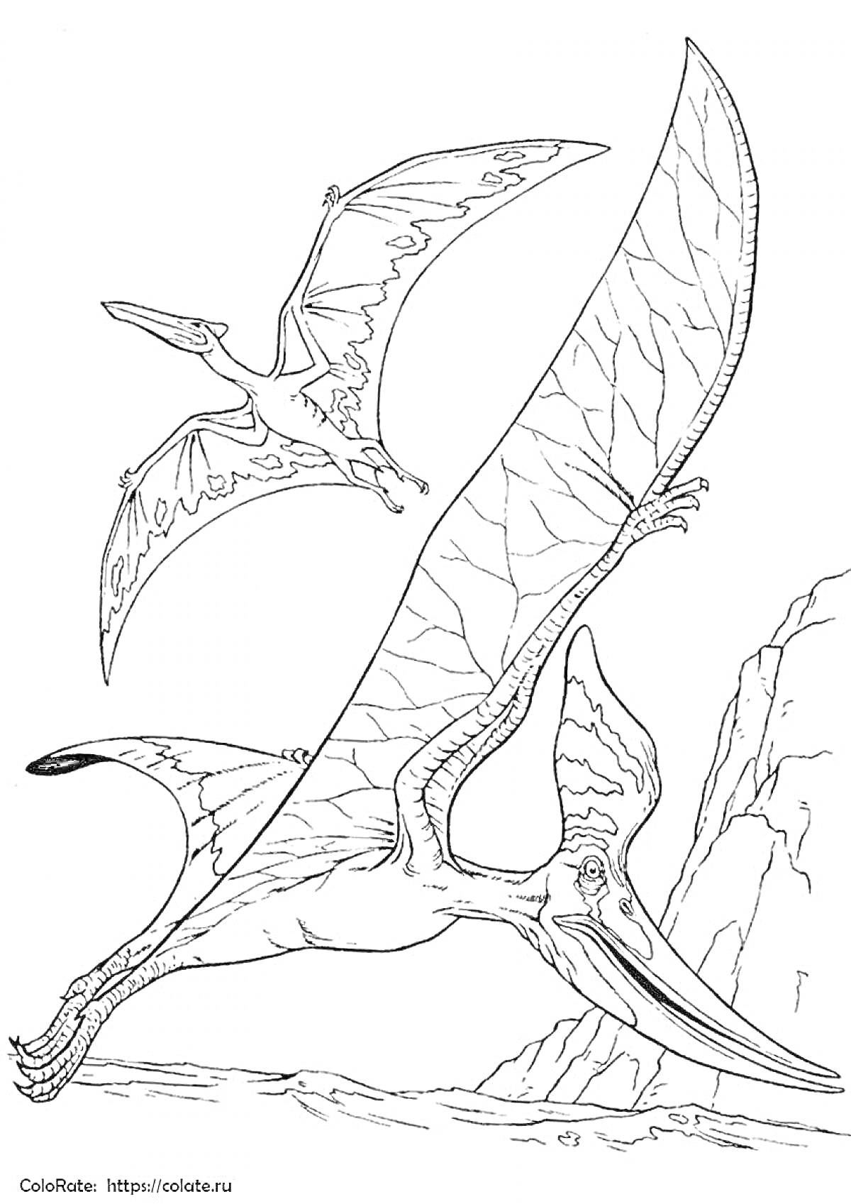 Раскраска Два птерозавра летают над скалистой местностью
