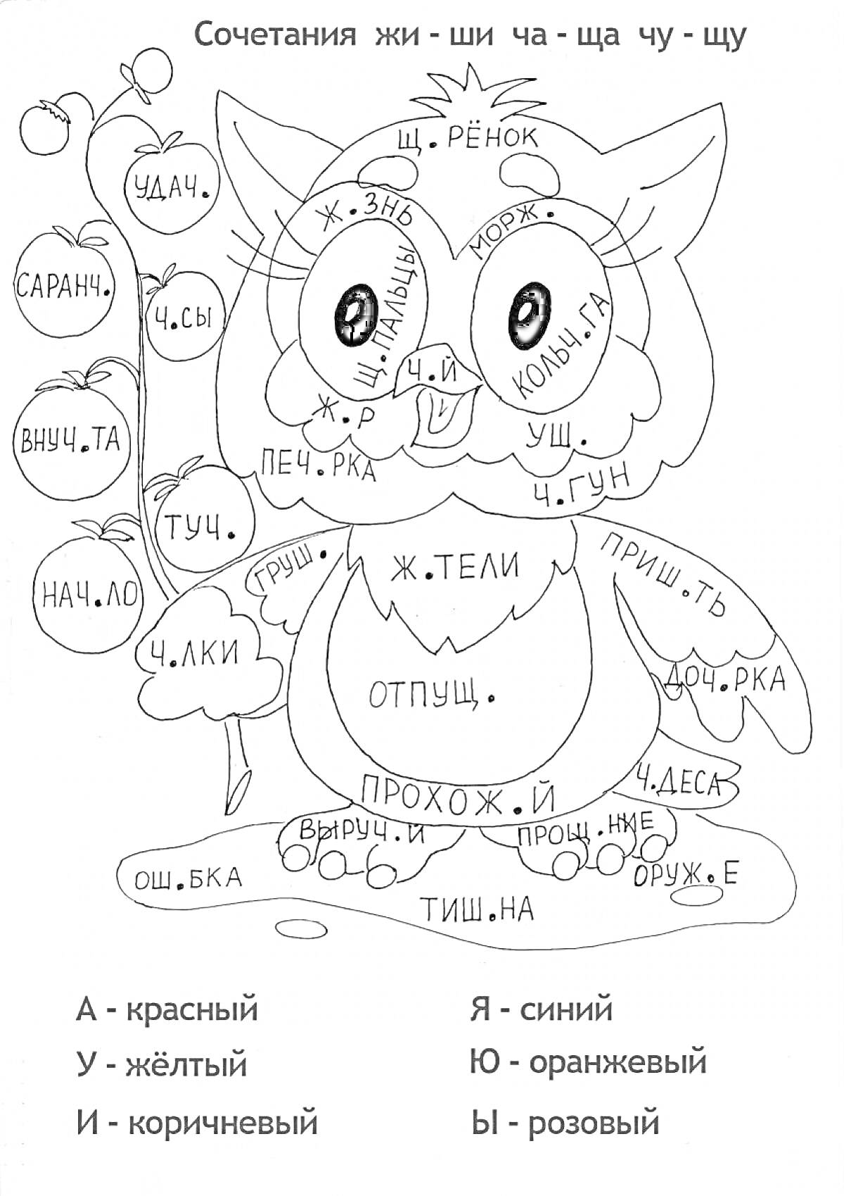 Раскраска Раскраска с совой и заданиями на сочетания жи - ши, ча - ща, чу - щу с цветовой кодировкой