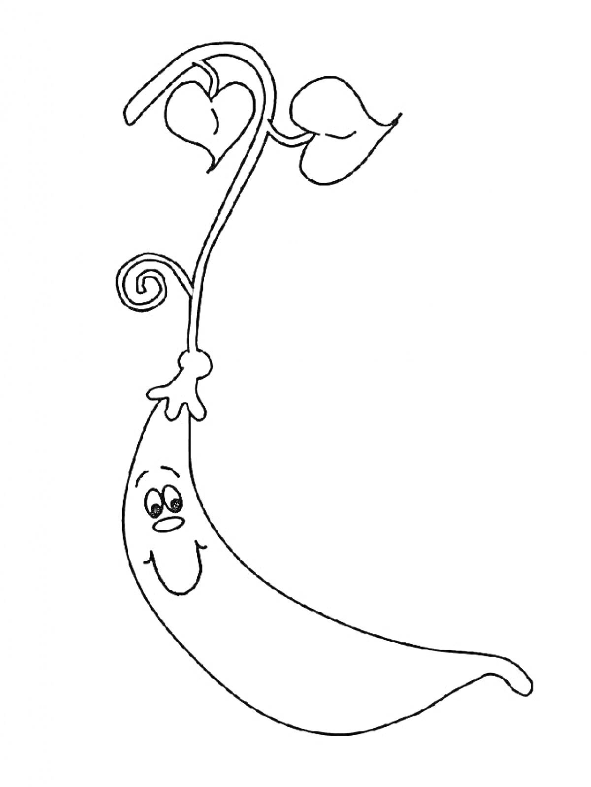 Раскраска Стручок гороха с лицом и листьями
