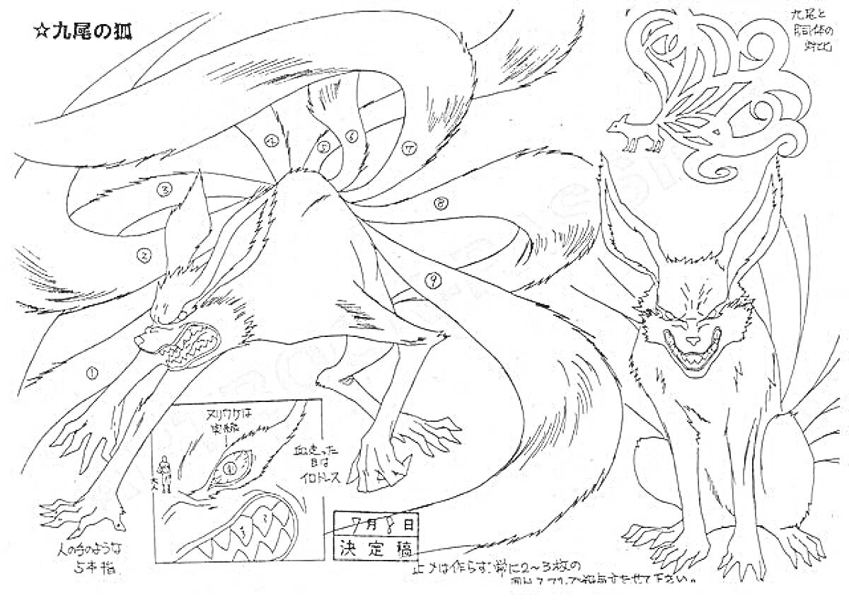 Раскраска Две версии Курамы - сидящая и атакующая с девятью хвостами, крупный план морды