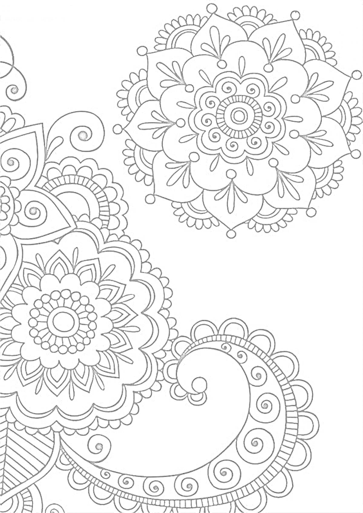 Раскраска Антистресс цветы с завитками и кружевными узорами