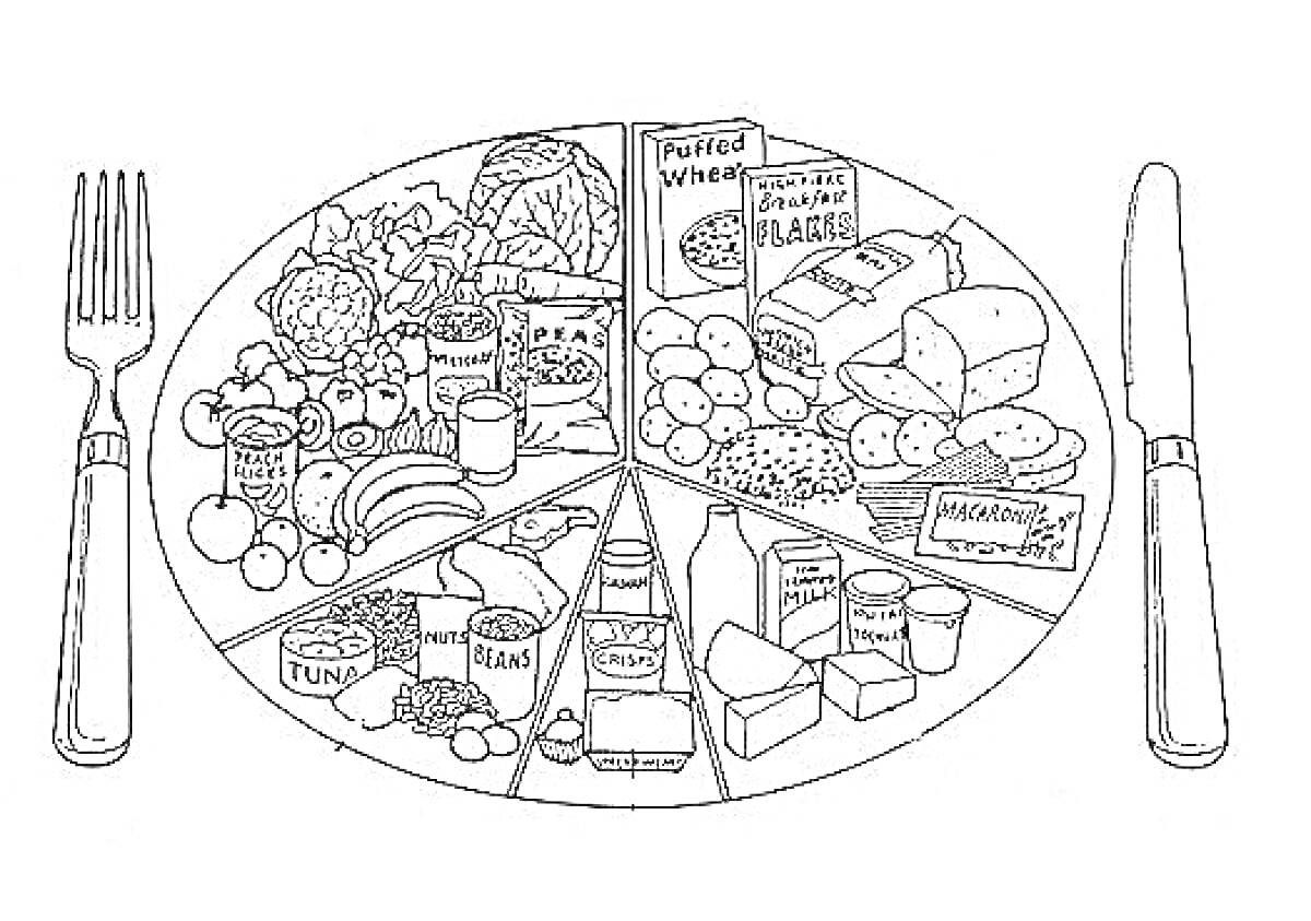 Раскраска Тарелка с правильным питанием с секциями для фруктов, овощей, круп, белков и молочных продуктов