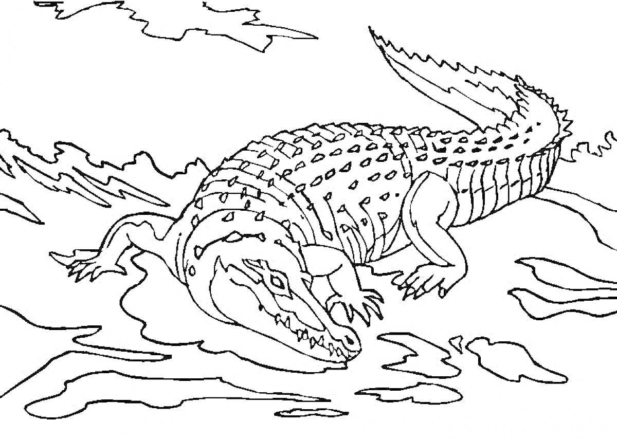 Раскраска Крокодил на берегу воды с деревьями на заднем плане