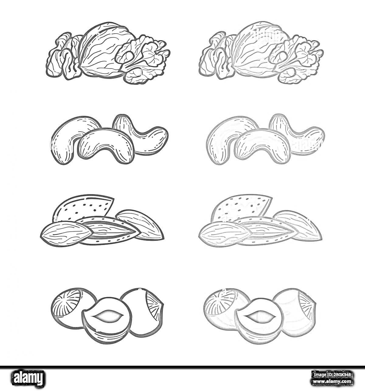Раскраска грецкие орехи, кешью, курага, финики, сушены еплоды