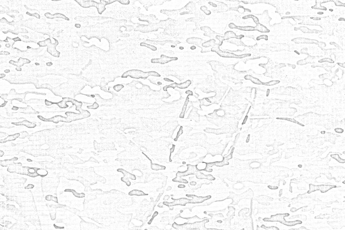 Раскраска Камуфляжный рисунок с элементами мха, пятнистый узор в оттенках серого
