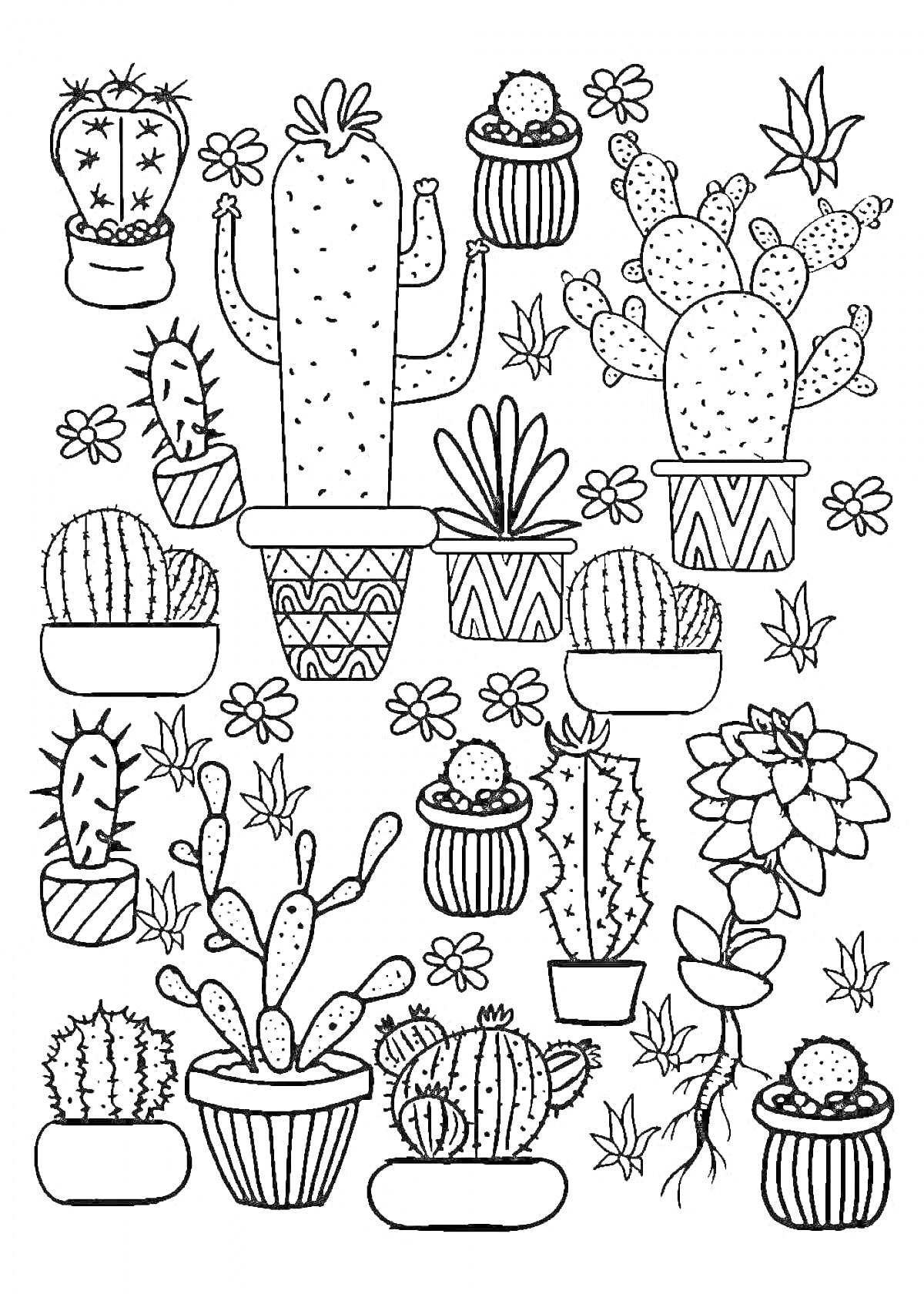 На раскраске изображено: Цветы, Горшки, Комнатные растения, Эстетика, Растения, Природа, Цветок в горшке