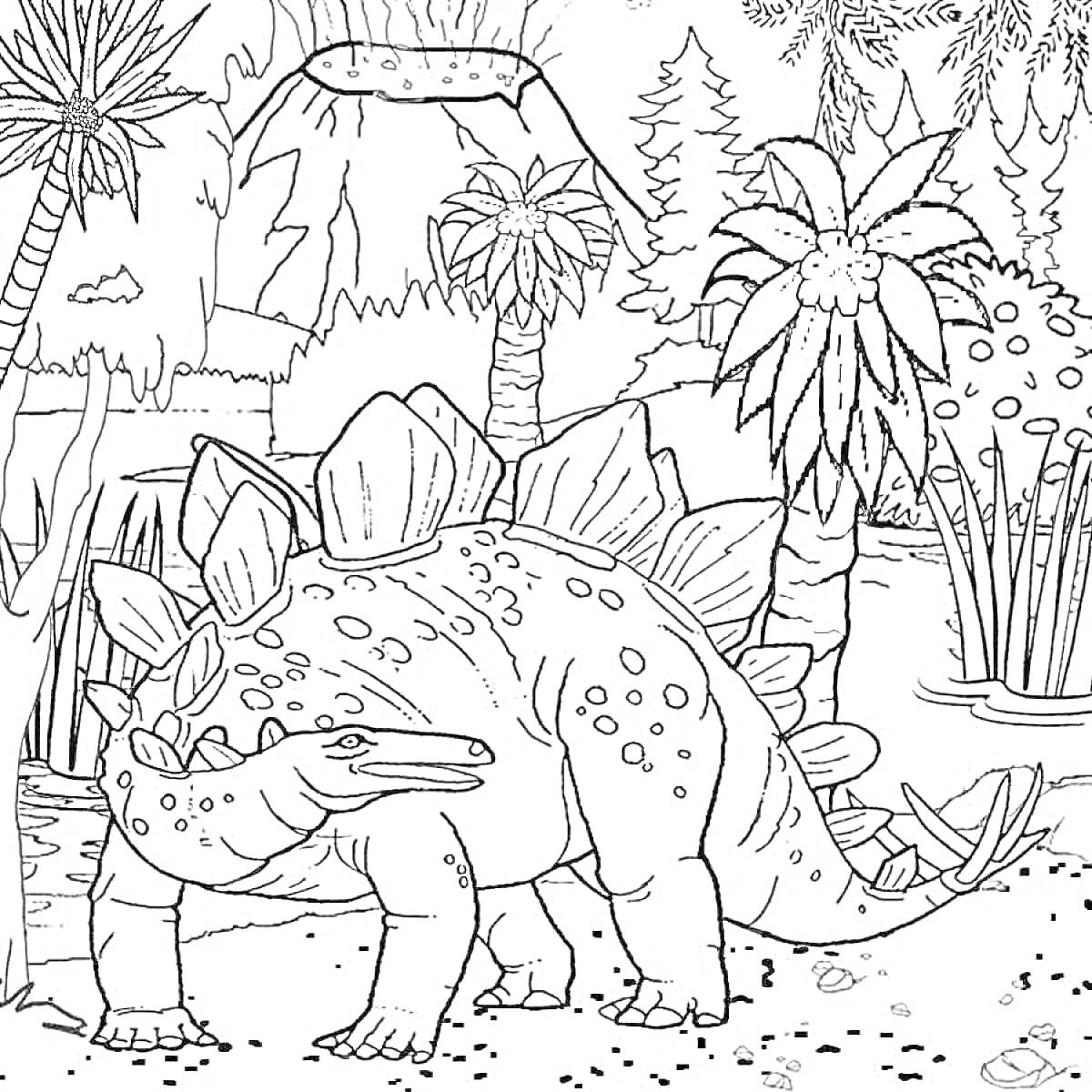 На раскраске изображено: Динозавр, Стегозавр, Доисторический лес, Вулкан, Пальмы, Тростник, Природа