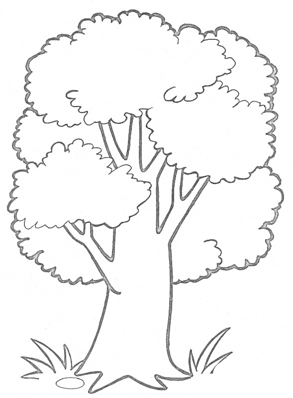 Раскраска Дерево с лужайкой из травы и лужей